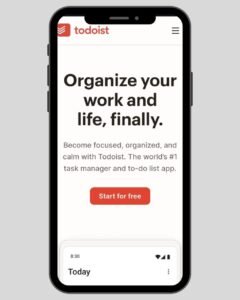 todoist productivity app for procastination